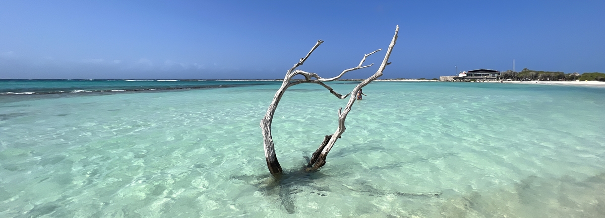 Conheça as cinco melhores praias de Aruba