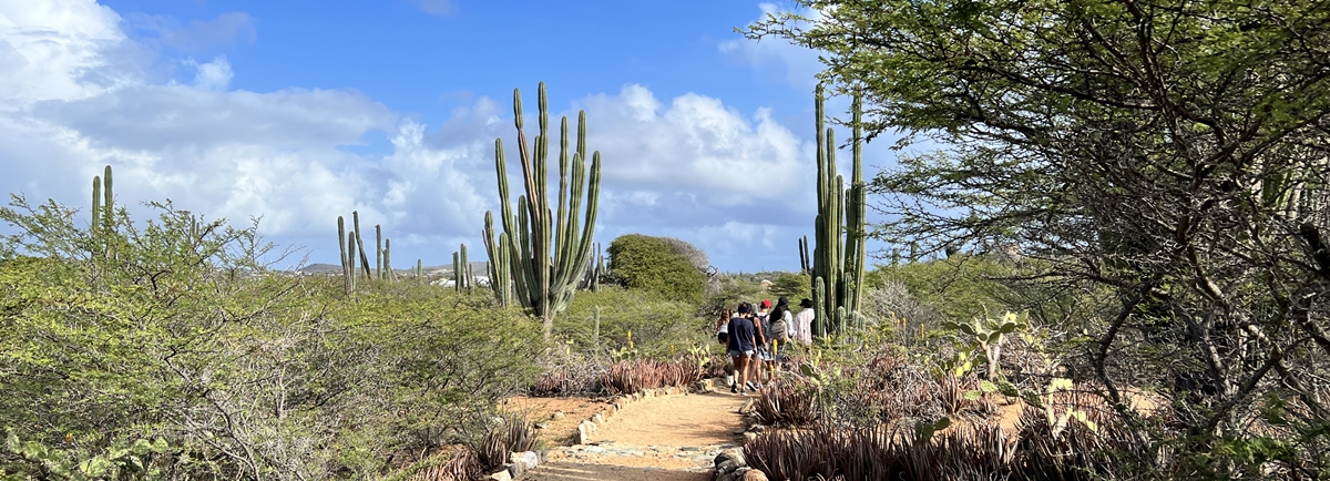 Aruba além da praia: passeio pelo parque Arikok